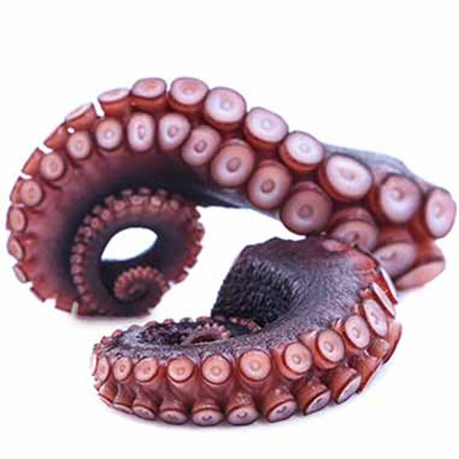 Tentacolo di Polpo cotto